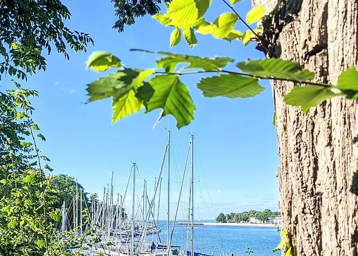 Moewe Jonathan * 노이슈타트인홀슈타인